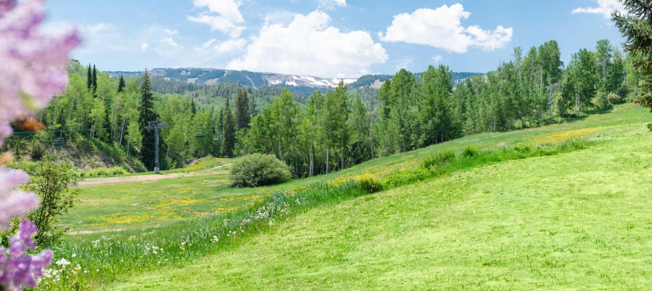 Laurelwood Condominiums 307 Snowmass Village Zewnętrze zdjęcie